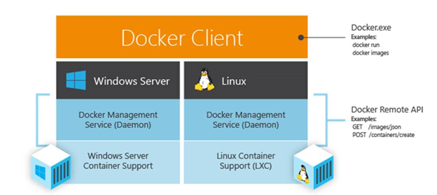 Docker will work on Windows and Linux