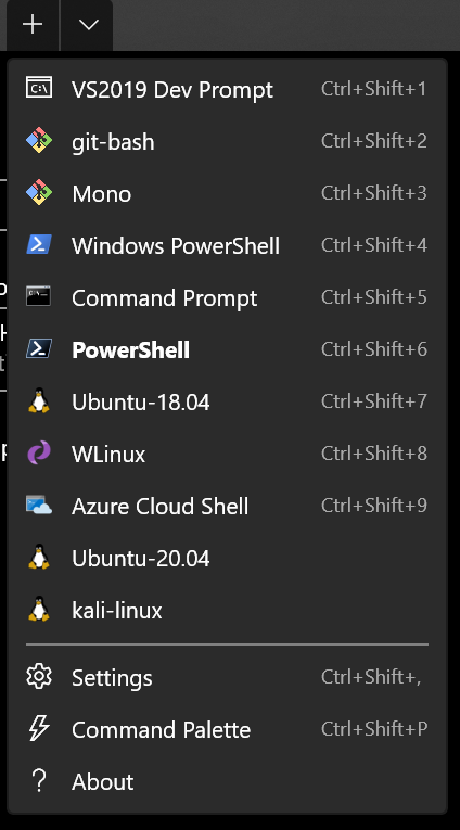 Lots of Windows Terminal Profiles