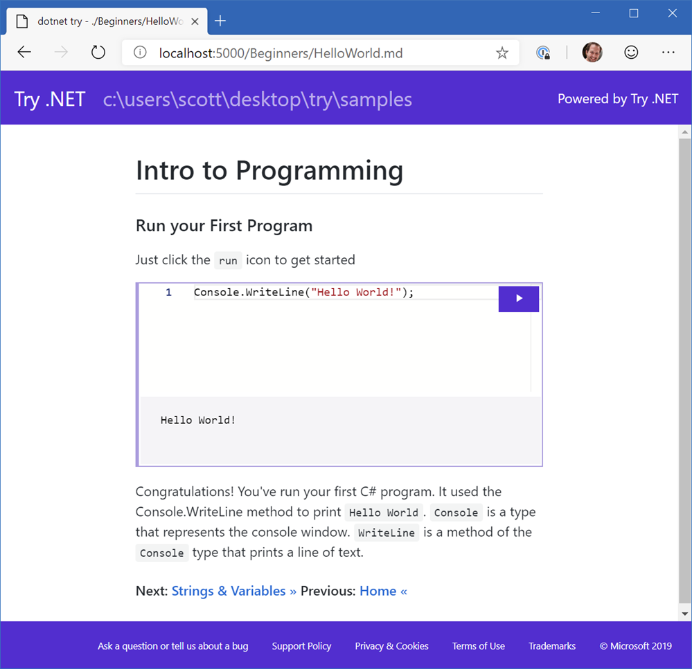 Try .NET interactive local documentation