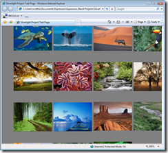 Silverlight Project Test Page - Windows Internet Explorer (4)
